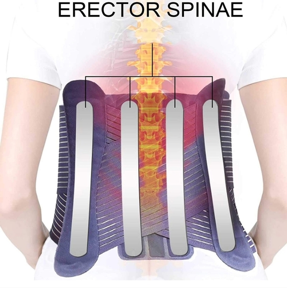 Sport Waist Belt Size Large Adjustable Posture Correction Lumbar Support Brace - Picture 5 of 10